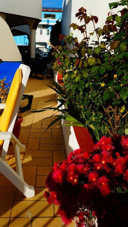 Apartamentos E Quartos Atalaia 사그레스 외부 사진